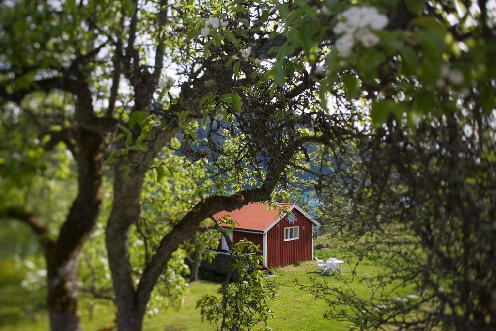 Dragsvik Fjordhotel (Adults Only) Balestrand Εξωτερικό φωτογραφία