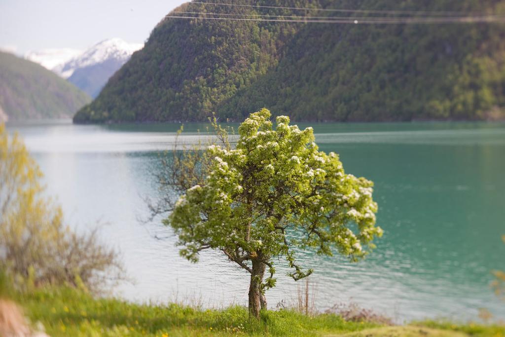 Dragsvik Fjordhotel (Adults Only) Balestrand Εξωτερικό φωτογραφία
